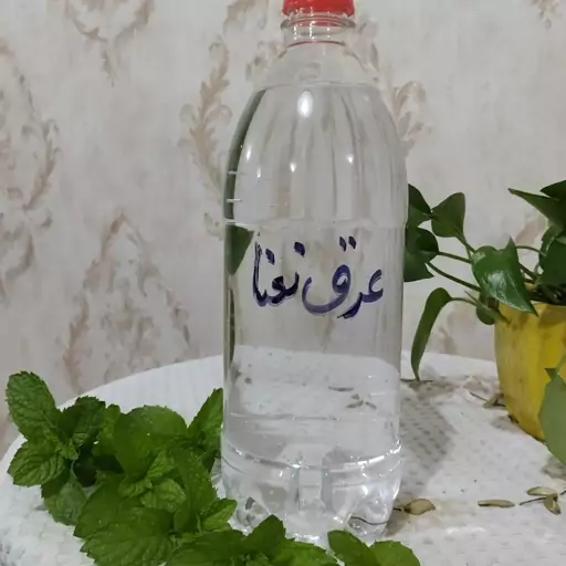 عرق نعنا سنتی (ارسال رایگان)