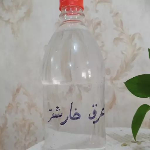 عرق خارشتر (ارسال رایگان)