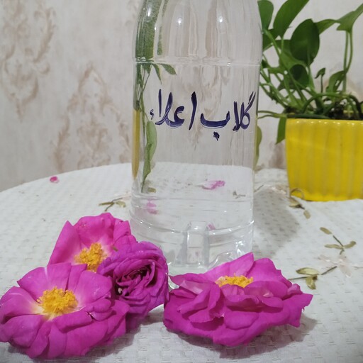 گلاب (ارسال رایگان)