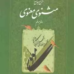 شرح جامع مثنوی معنوی دفتر 5 ( کریم زمانی )