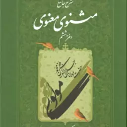 شرح جامع مثنوی معنوی دفتر 6 ( کریم زمانی )