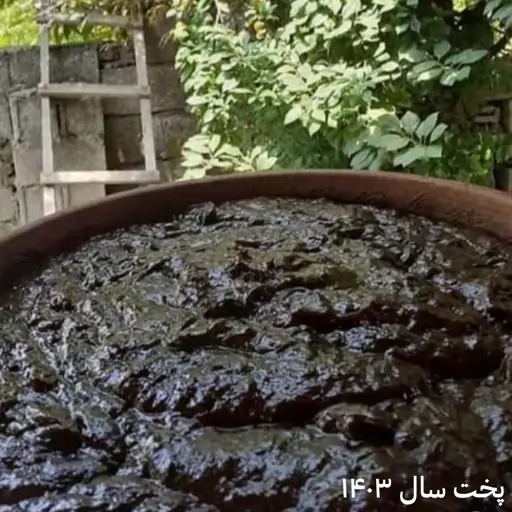 رب آلوچه ترش خانگی 800 گرمی کاملا غلیظ تهیه شده از آلوچه ترش ریز جنگلی