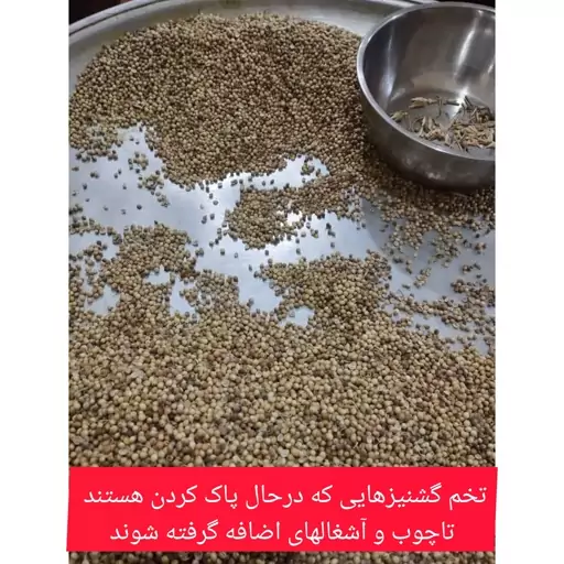 تخم گشنیز ، ادویه جات خوشه ، 200 گرم