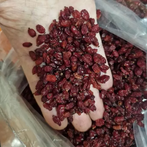 زرشک پفکی درجه یک 500 گرمی