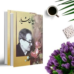 کتاب دیوان شهریار اثر سید محمد حسین بهجت تبریزی(2جلدی  گالینگور) انتشارات نگارستان کتاب