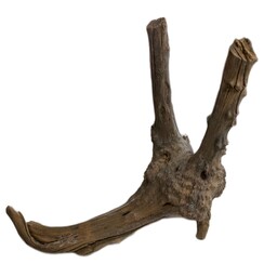 چوب تزیینی آبنوس کد 26 مخصوص آکواریوم مدل ریشه مانگرو