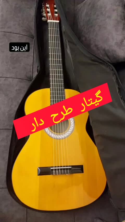 گیتار فرد طرح خاص همراه کاور پیک
