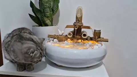 آبنما دکوری رومیزی بامبو مدل دلارا