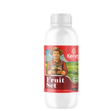 کود فروت ست 1 لیتری (افزایش گلدهی و میوه)