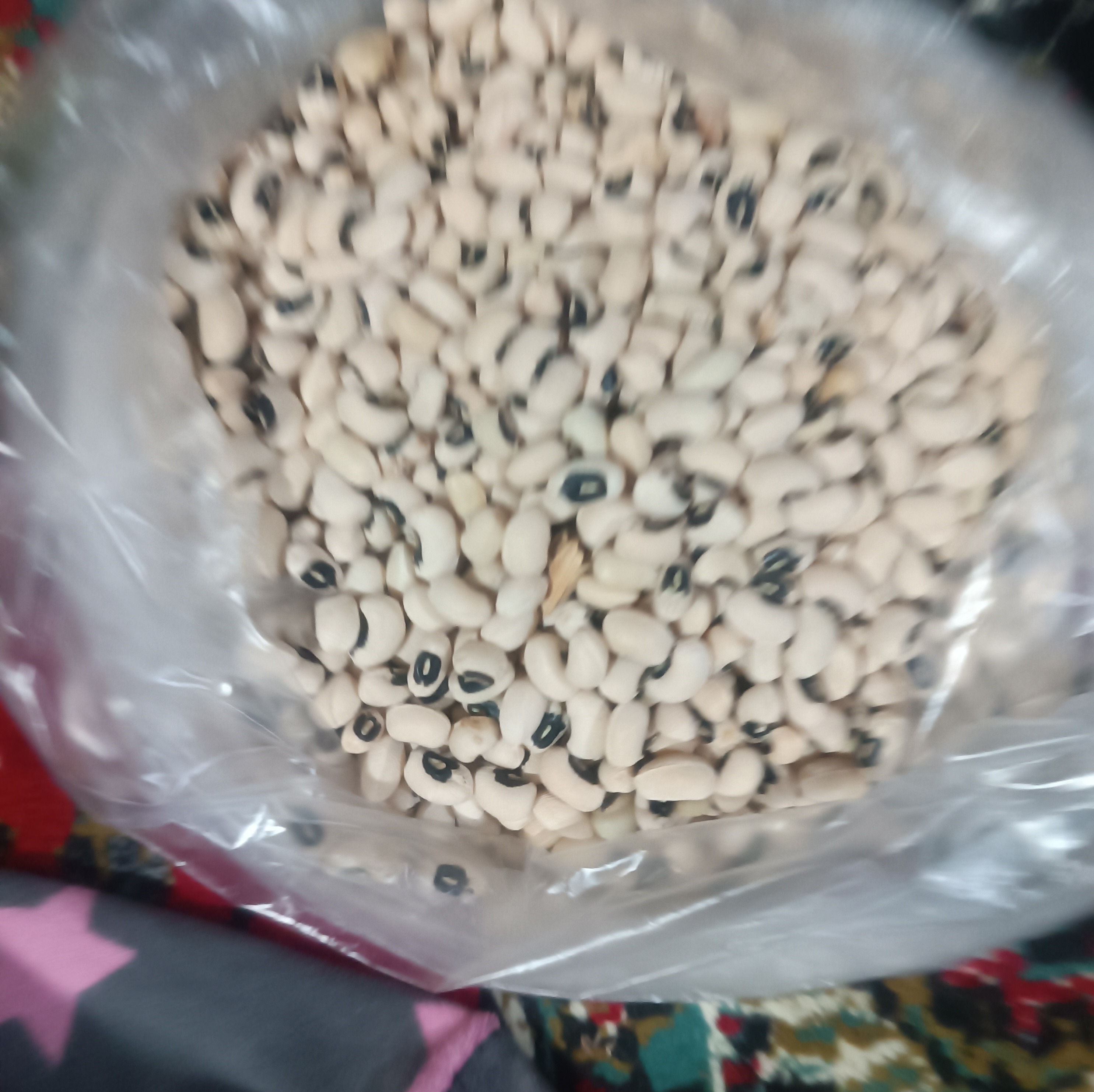 لوبیا چشم بلبلی 