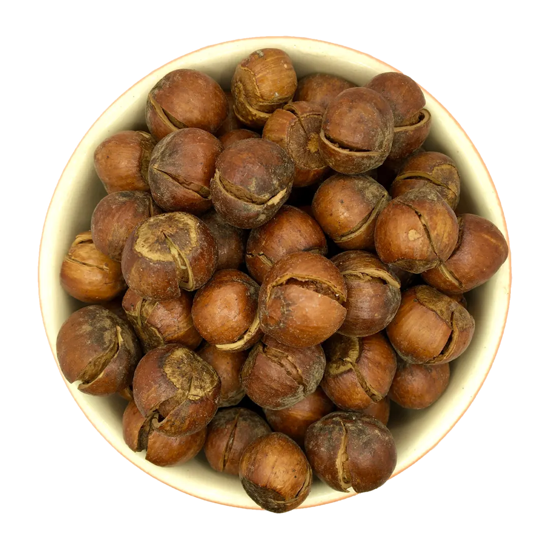 فندق با پوست شور