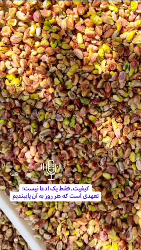پودر 4مغز خالص