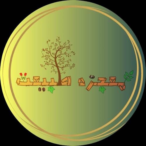حمید مهرجو