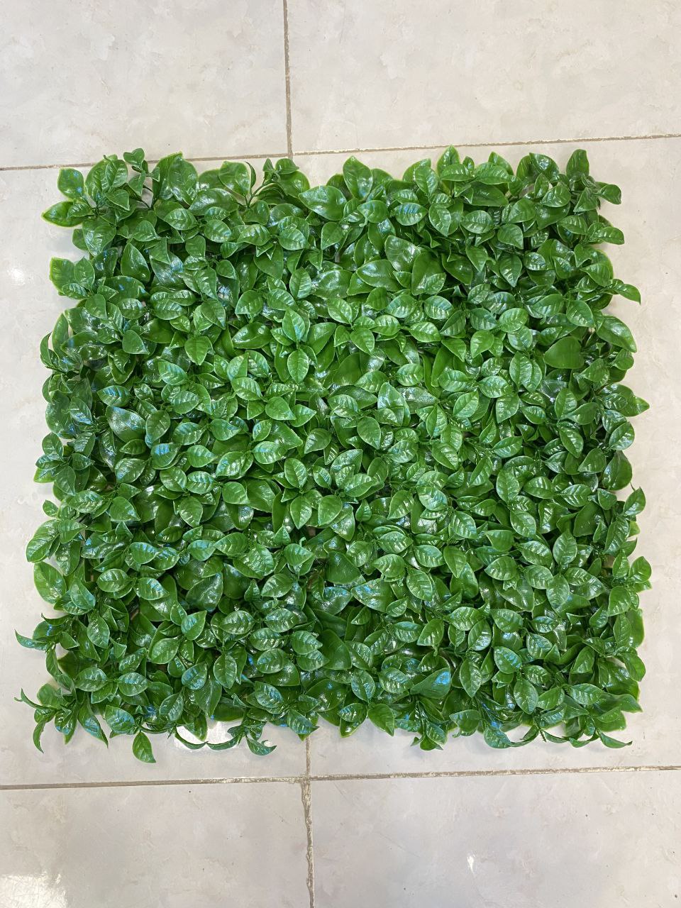 ریحونی ساده