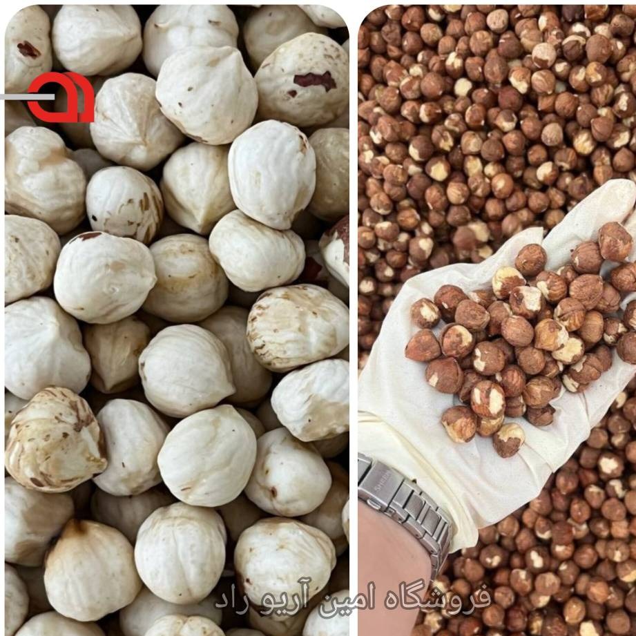 مغز فندق ایرانی - با پوست و مغز(فروش عمده)