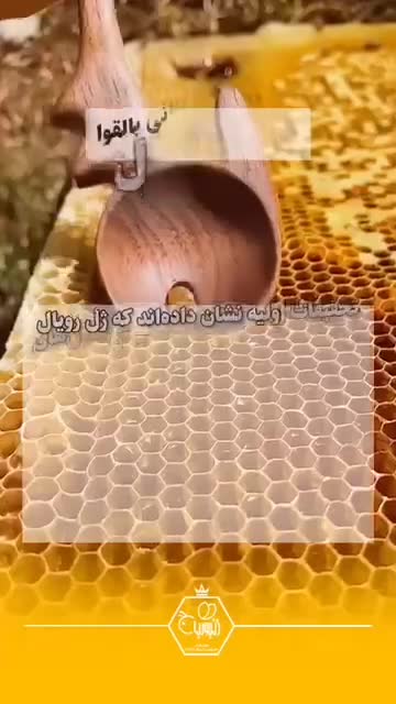 معجون ژل رویال | Royal Jelly Mix | زنبوربان