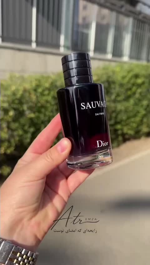 عطر مردانه ساواج SAUVAGE مقدار 5 گرم