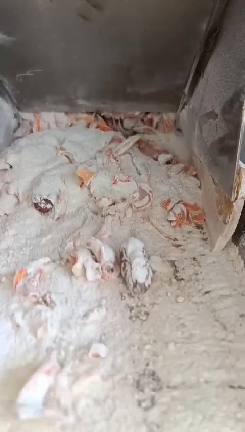 حریره هویج و خرما