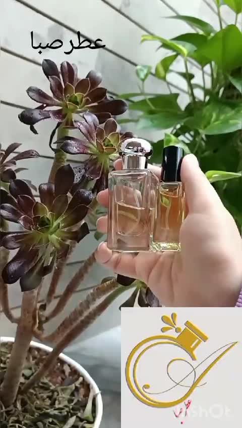 نودی فلوروم زنانه (گرم و تلخ) لوزی