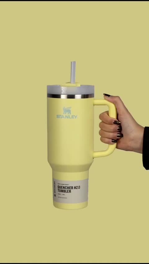 ماگ استنلی Stanley Quencher H2.0 اصل، تراول ماگ استیل دوجداره سرد و گرم،ضد نشت با نی و دسته