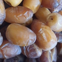 رطب کبکاب تازه محصول 405 استان بوشهر/ ارسال فقط شیراز، اصفهان، تهران، بوشهر (پس کرایه)