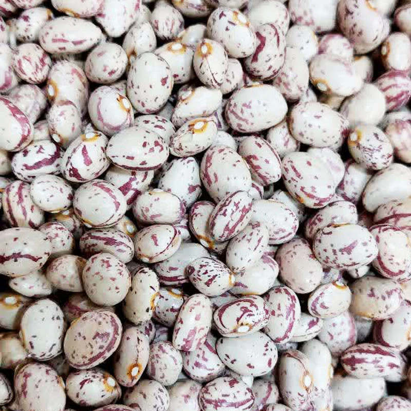 لوبیا چیتی بازرگانی صدرآبادی - 450 گرم بسته 2 عددی