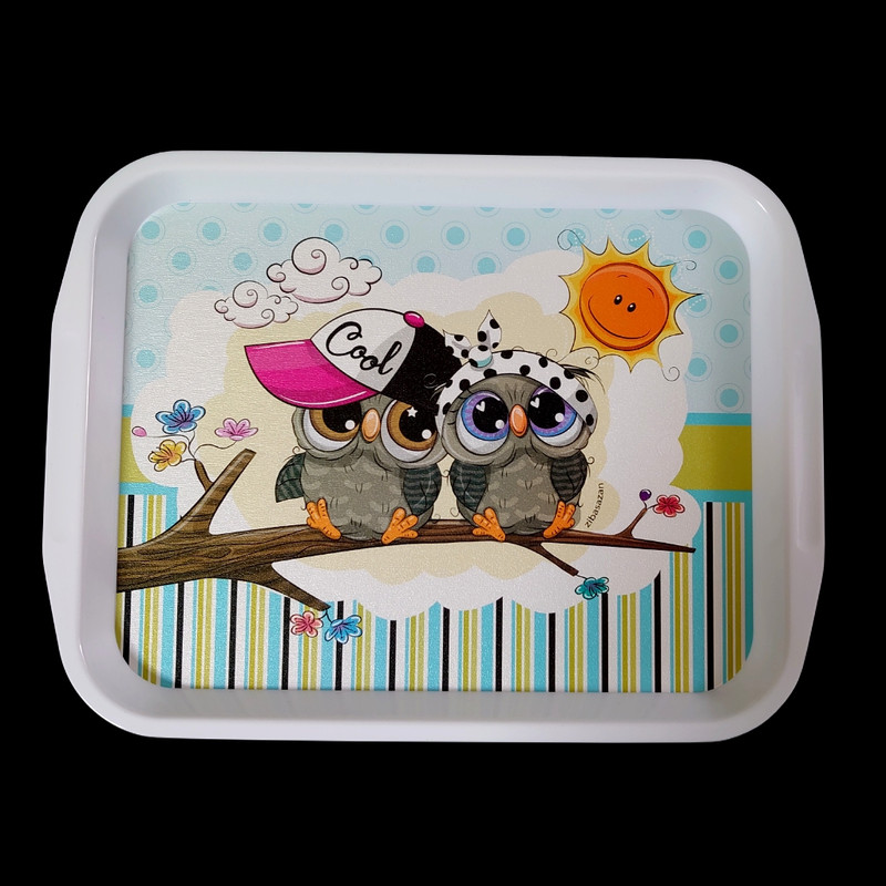 سینی مدل WW55m