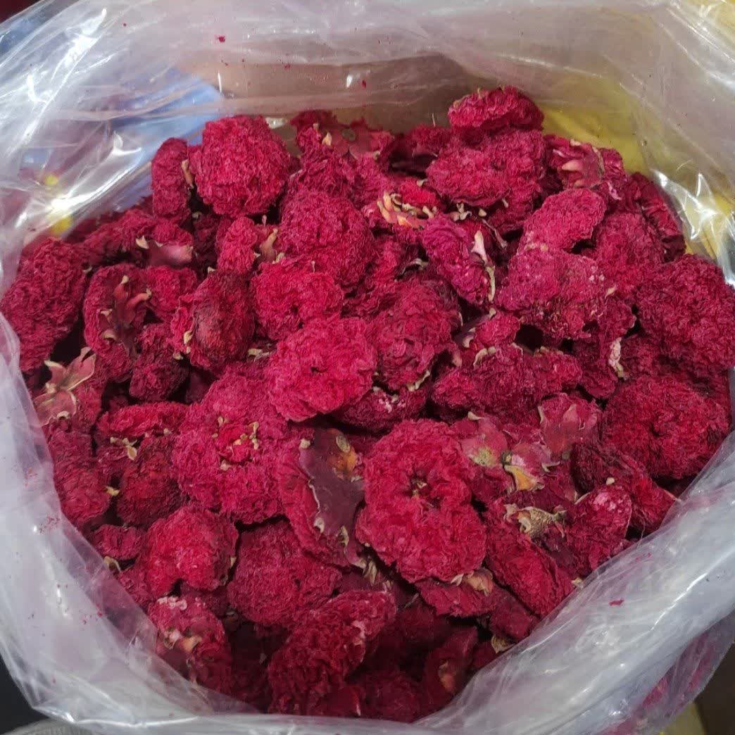 گلنار فارسی
