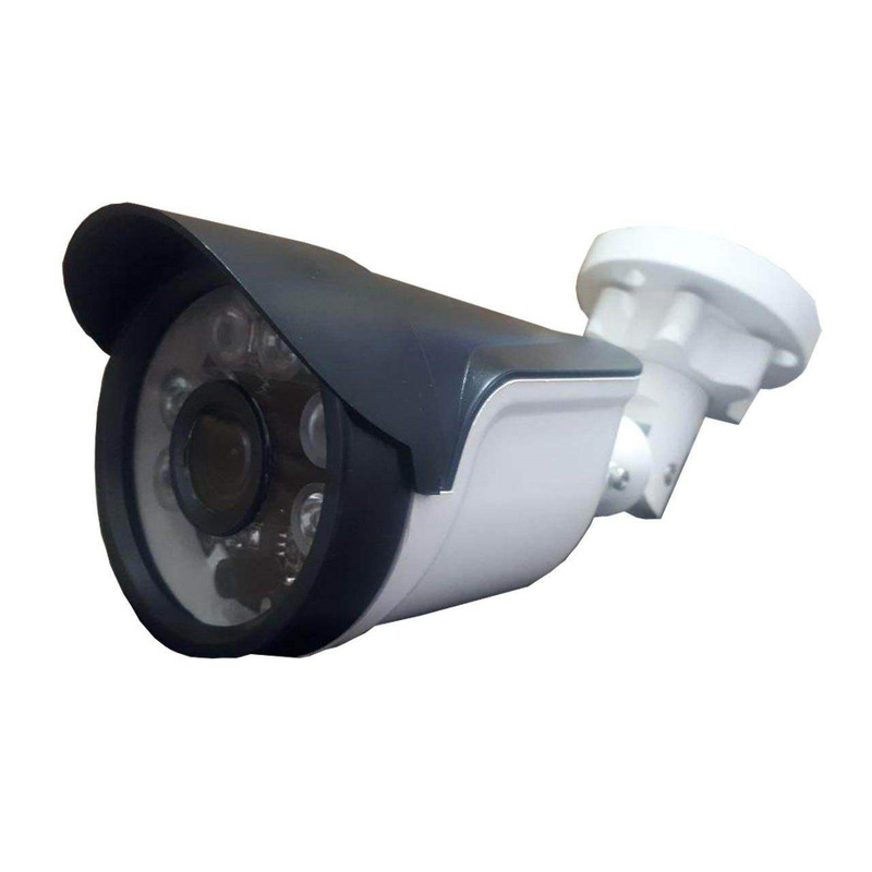 دوربین مدار بسته ان آی کی دوربین مداربسته آنالوگ مدل P211