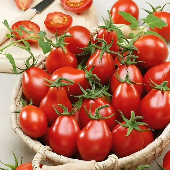 بذر گوجه گلابی قرمز، بسته 0/5 گرمی (200 بذر)