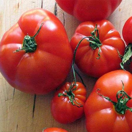 بذر گوجه فرنگی محلی ترش، بسته 0/4 گرمی (128 بذر)