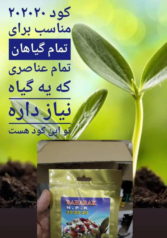 کود رشد 20 20 20 - گل های آپارتمانی