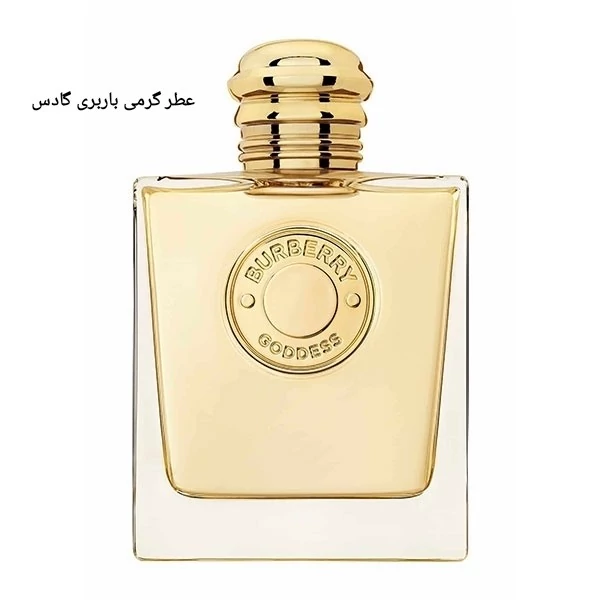 عطر گرمی باربری گادس زنانه سوییسی 35 میل