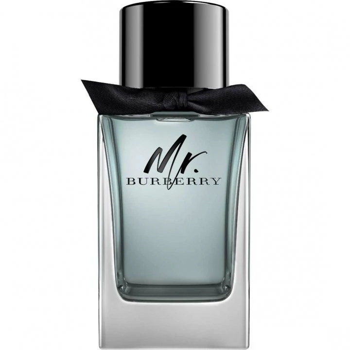 عطر ادکلن باربری مستر Burberry Mr