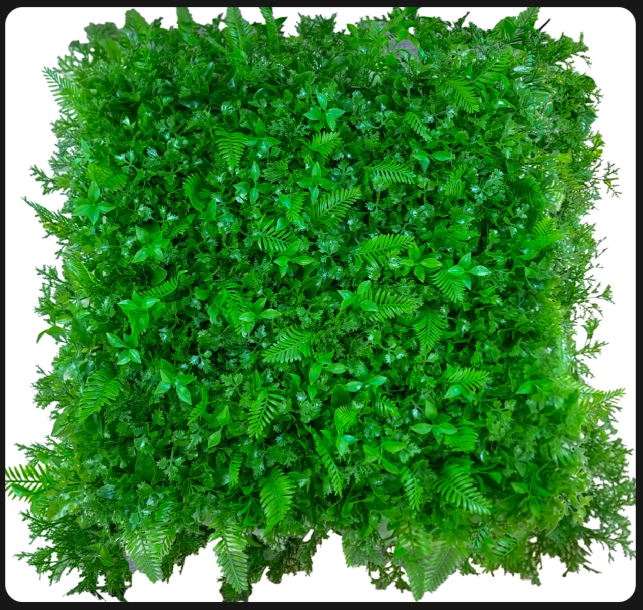 چمن مصنوعی گرین وال سیکاس کاج