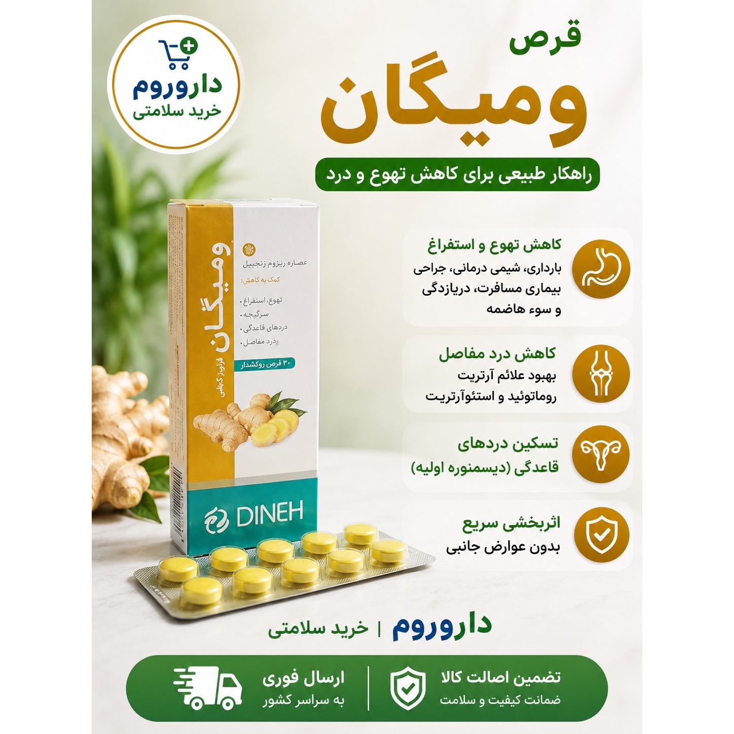 قرص ومیگان (زنجبیل) دینه 30عددی