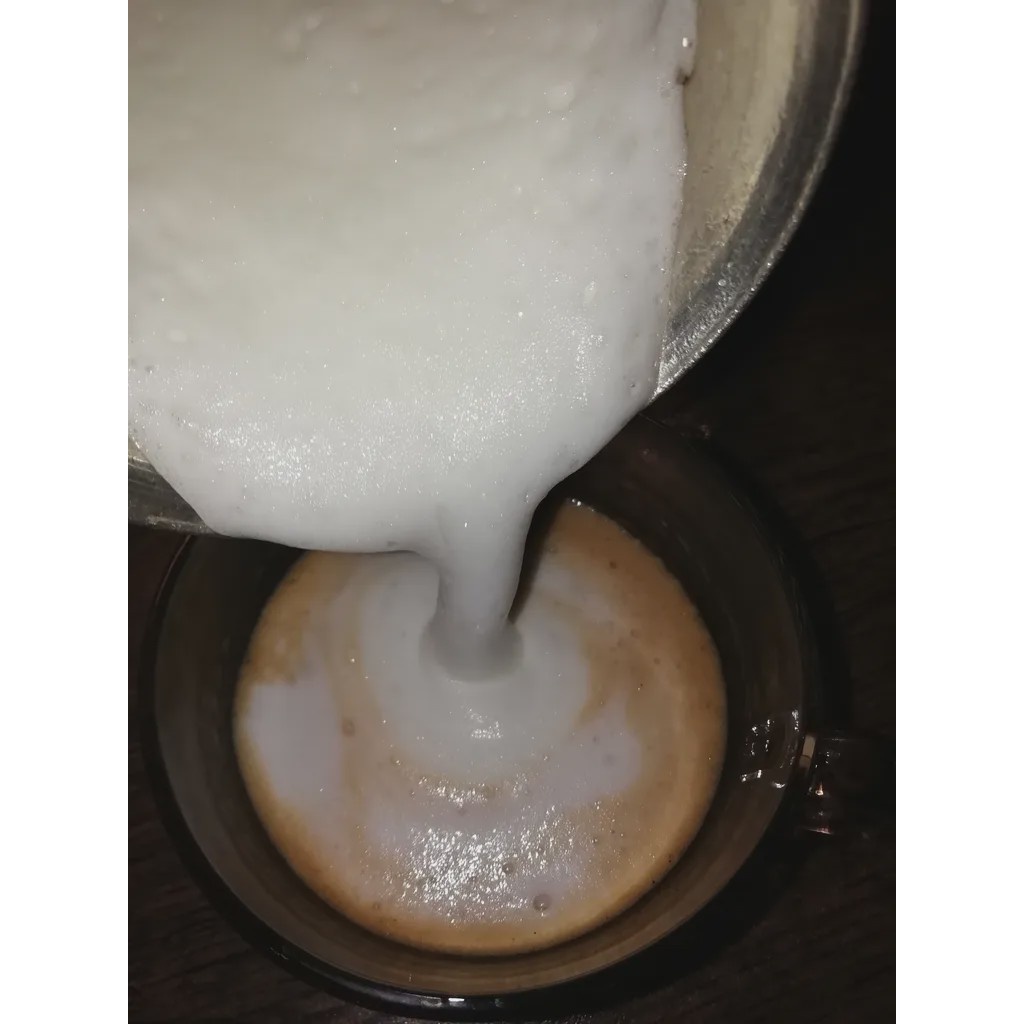 همزن شیر مدل کف ساز