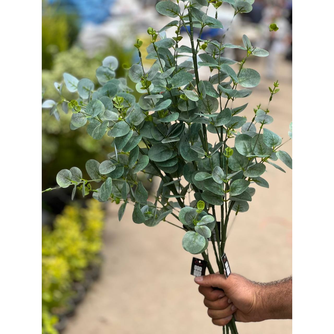 برگ اکالیپتوس مصنوعی لمسی