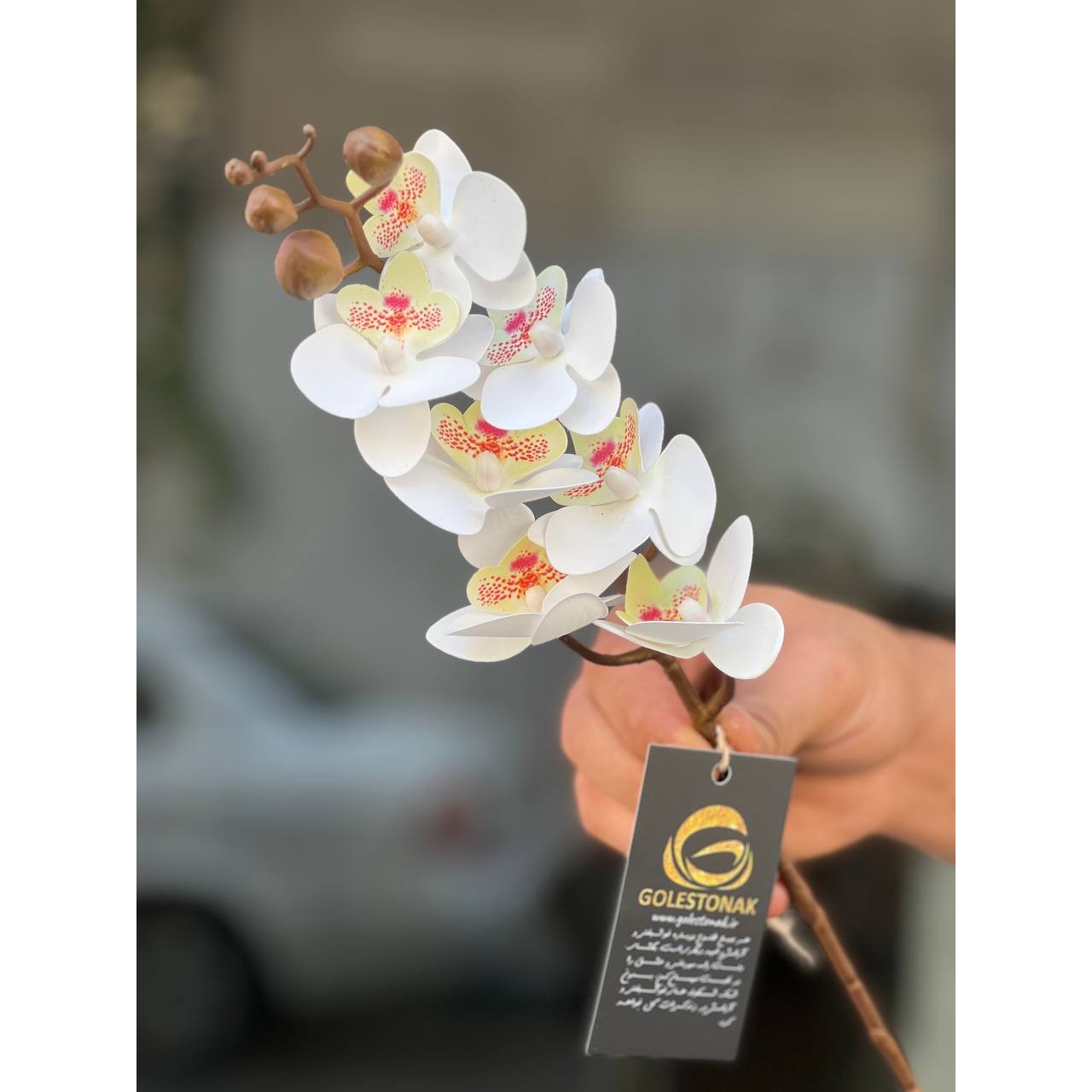 ارکیده مینیاتوری مصنوعی وارداتی رنگ سفید