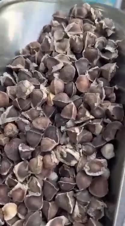 روغن بذر مورینگا 30 میل. پرس سرد. مناسب تقویت مو. رشد مو. قطع ریزش مو. رفع موهای سفید. شوره سر. ماساژ صورت