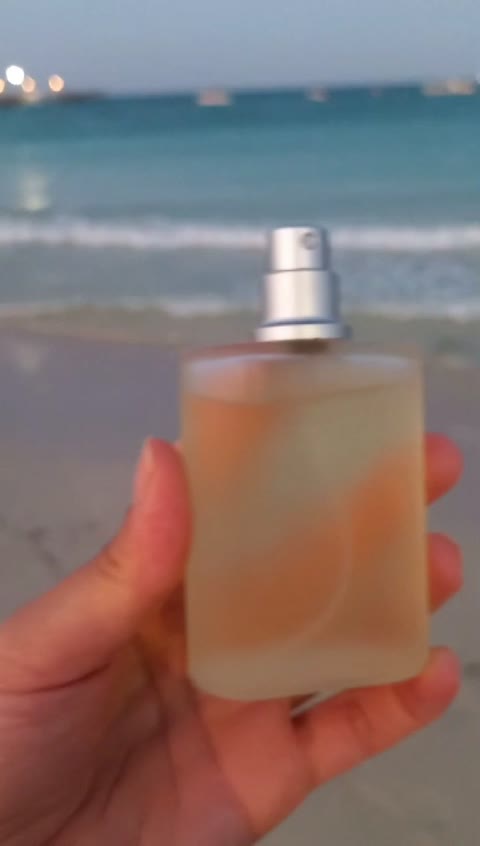 عطر خالص اینوکتوس پاکورابان(کیفیت اعلا بازار)