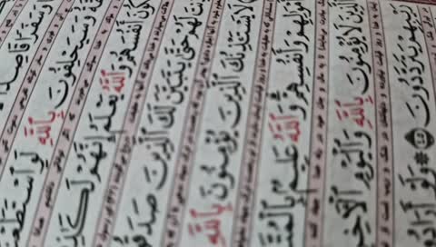 فرشینه جانمازی مخمل تُرک کد N 104(پس کرایه)