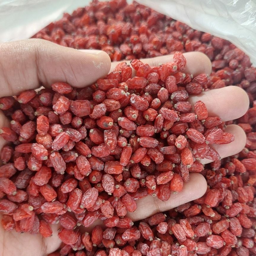 زرشک پفکی درجه1 / صادراتی / عمده و جزئی