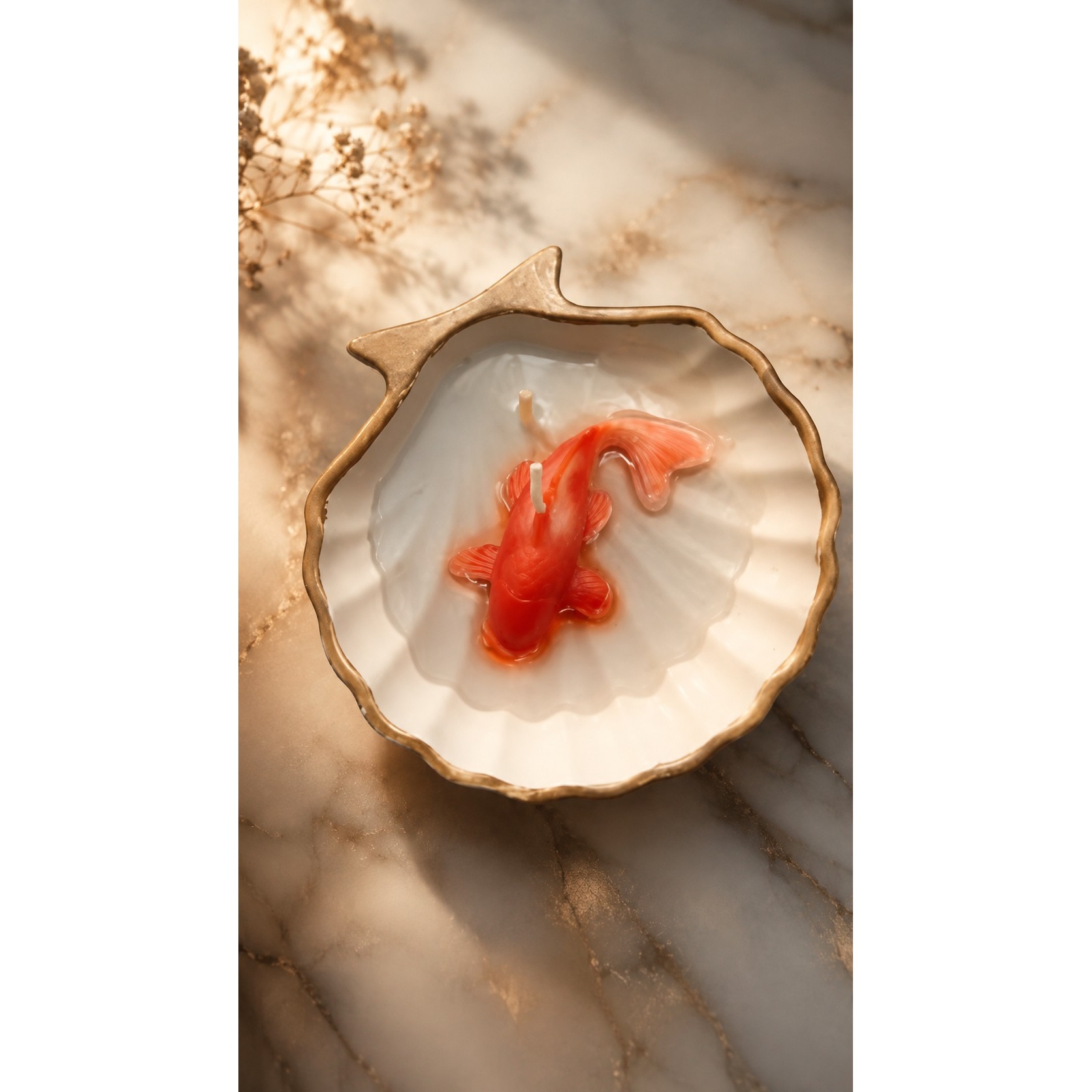 شمع ماهی و صدف