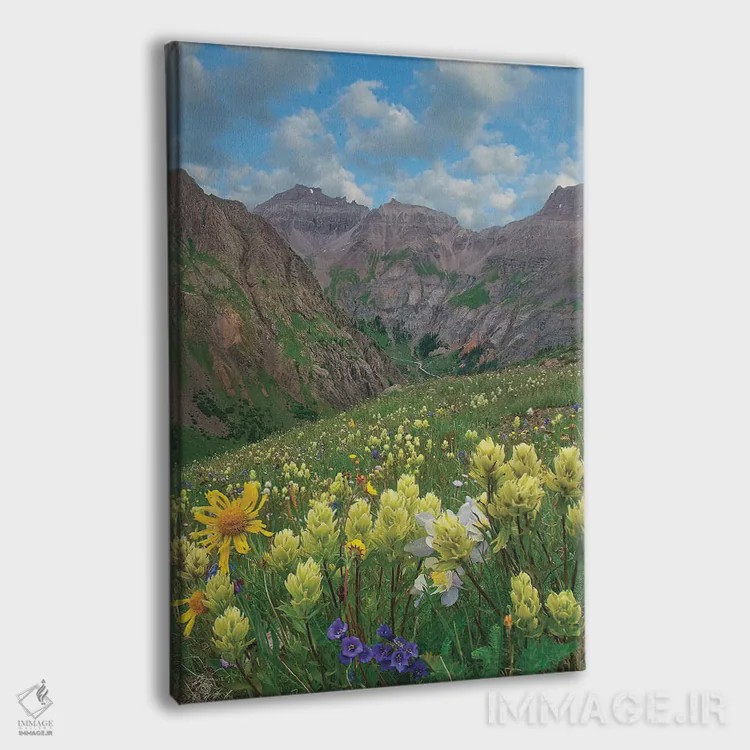 تابلو دکوراتیو Governor Basin, Colorado,گل پینت براش، حوضه گاورنر، کلرادو اثر تیم فیتزهریس