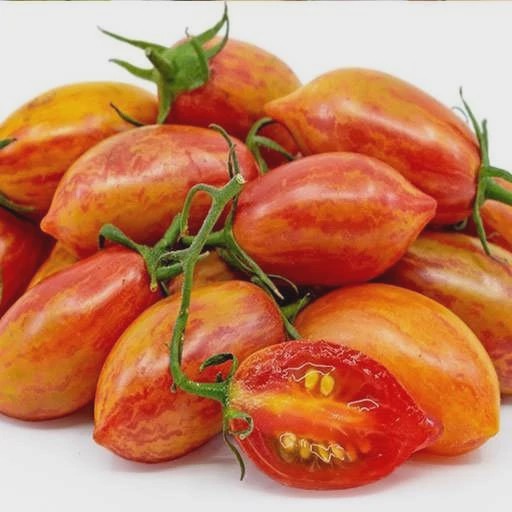 بذر گوجه زیتونی ببری (زبرا) زرد درختی