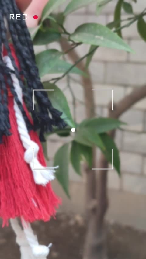 عروسک جاسوییچی مکرومه دختر