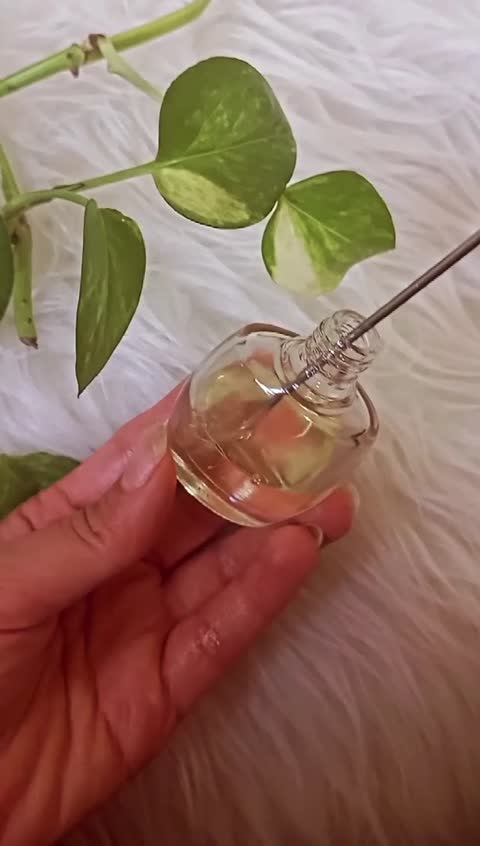 عطرخالص لجند مونت بلان(پخش و موندگاری بالاترین نسخه بازار)