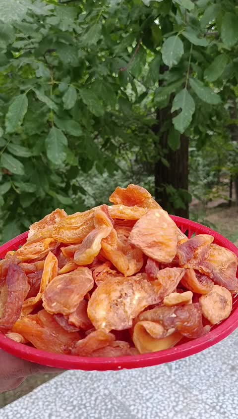 برگ زرد آلو 
