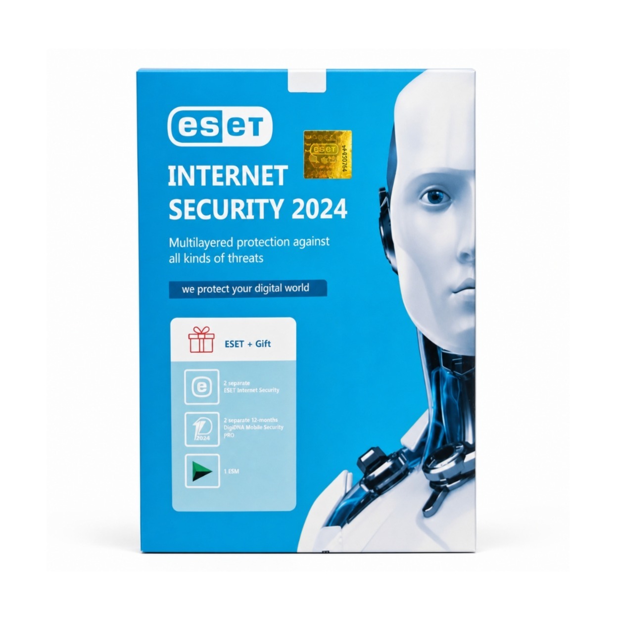 آنتی ویروس یک ساله ESET Internet Security دو لایسنس